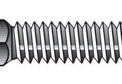 Hillman 1/4 in. X 3/4 in. L Stainless Steel Carriage Bolt 50 pk
