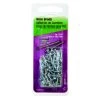 Hillman 18 Ga. X 3/4 in. L Galvanized Steel Brad Nails 1 pk 1.75 oz