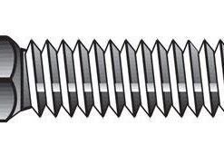 Hillman 1/4 in. X 2 in. L Stainless Steel Carriage Bolt 50 pk